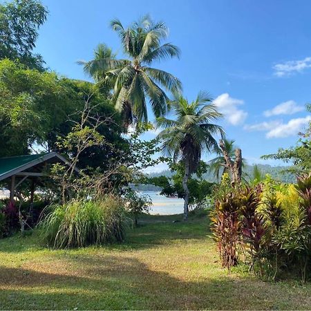 Port Barton - Paradiso Azul Campsite Beachfront With Internet San Vicente  Ngoại thất bức ảnh