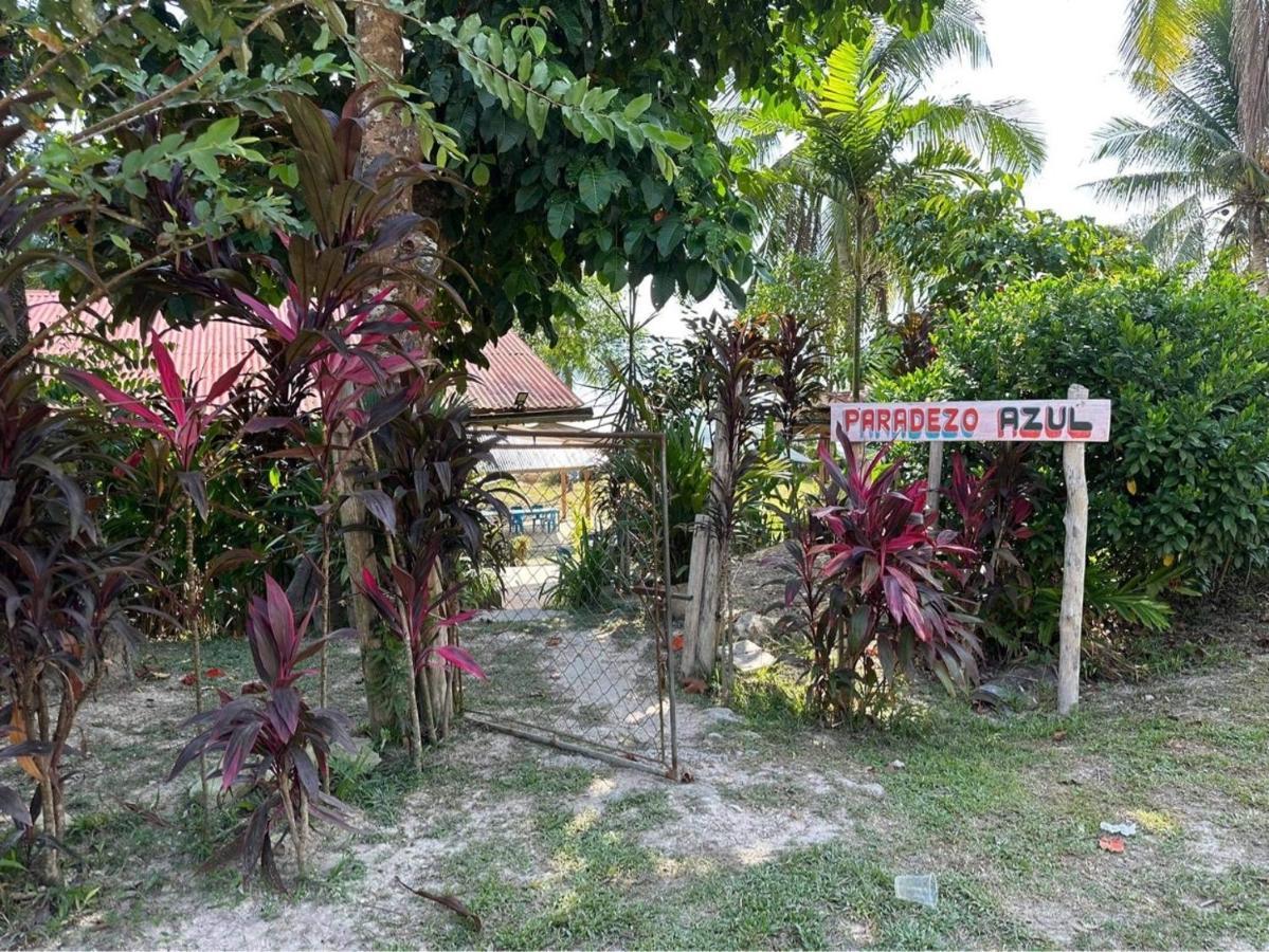 Port Barton - Paradiso Azul Campsite Beachfront With Internet San Vicente  Ngoại thất bức ảnh