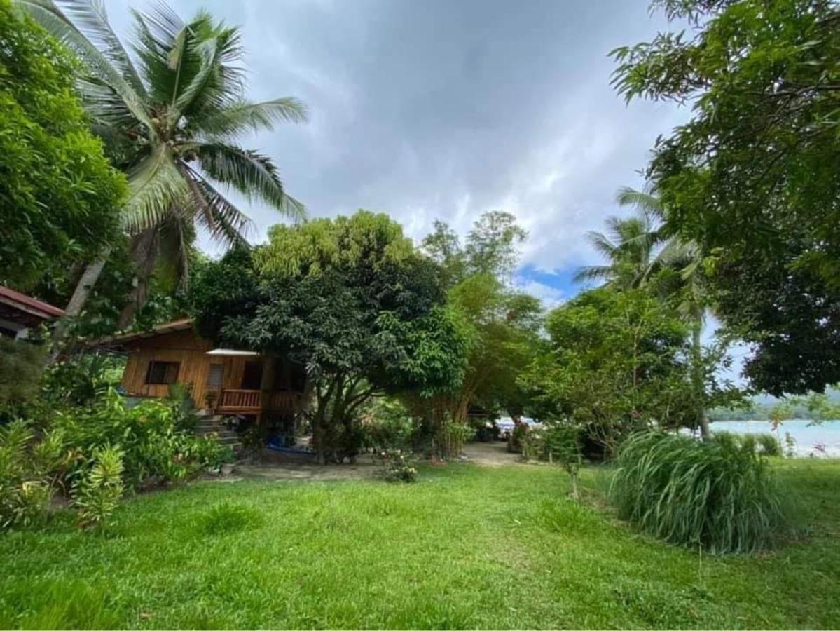 Port Barton - Paradiso Azul Campsite Beachfront With Internet San Vicente  Ngoại thất bức ảnh
