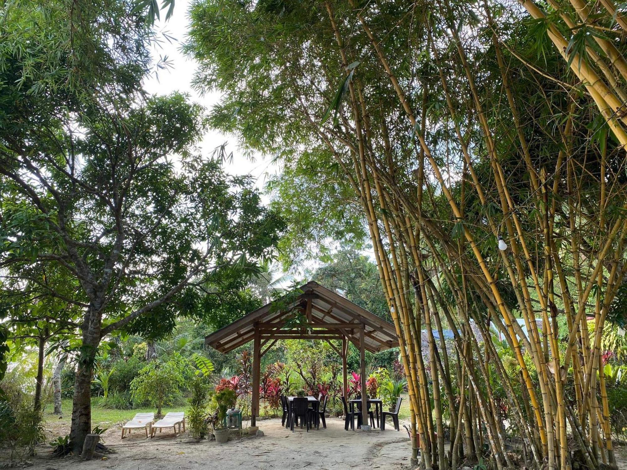 Port Barton - Paradiso Azul Campsite Beachfront With Internet San Vicente  Ngoại thất bức ảnh