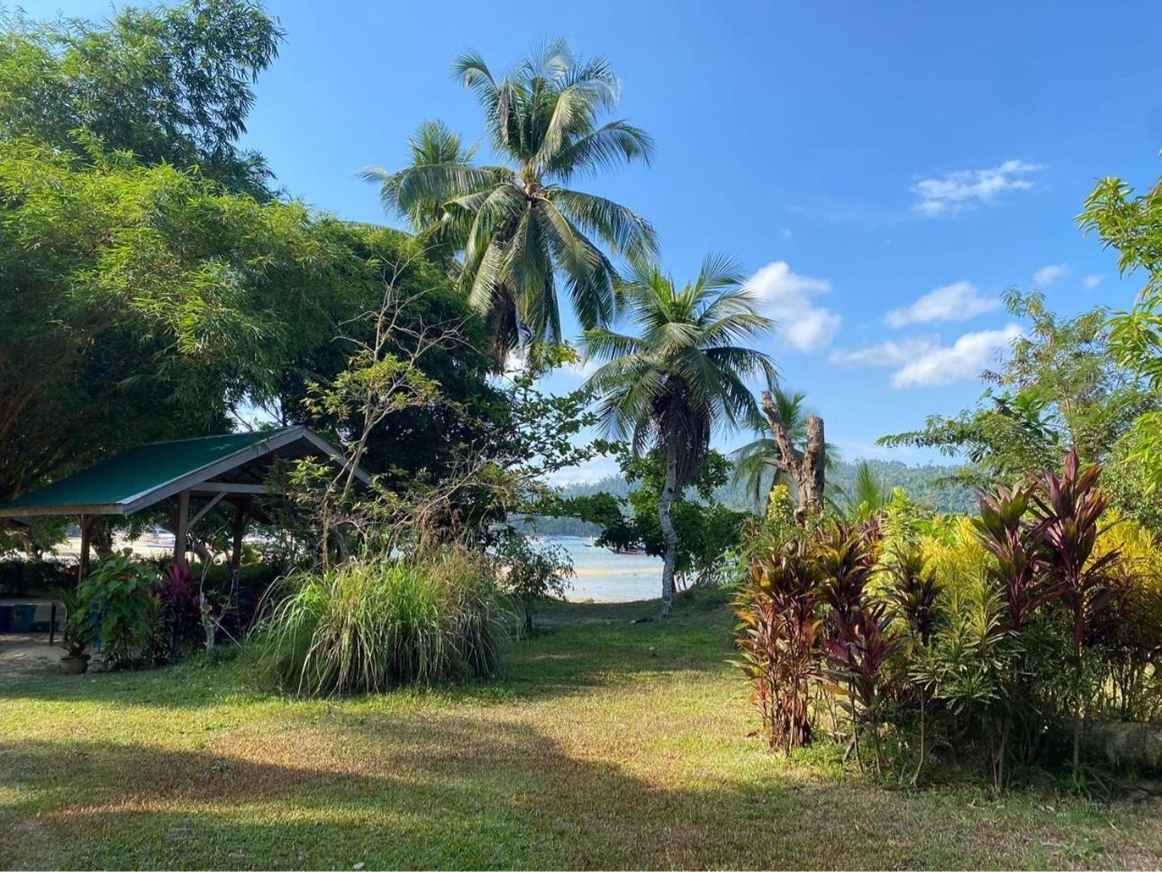 Port Barton - Paradiso Azul Campsite Beachfront With Internet San Vicente  Ngoại thất bức ảnh
