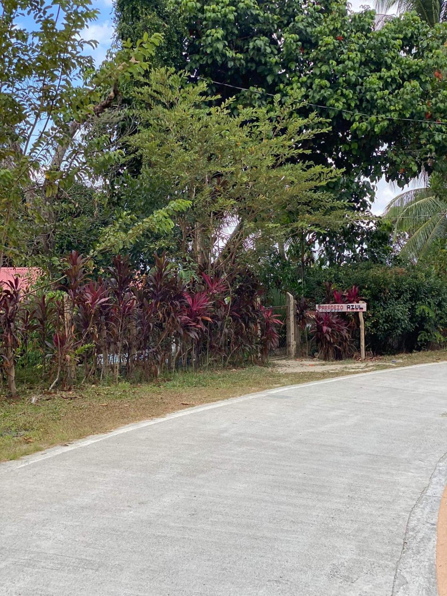 Port Barton - Paradiso Azul Campsite Beachfront With Internet San Vicente  Ngoại thất bức ảnh