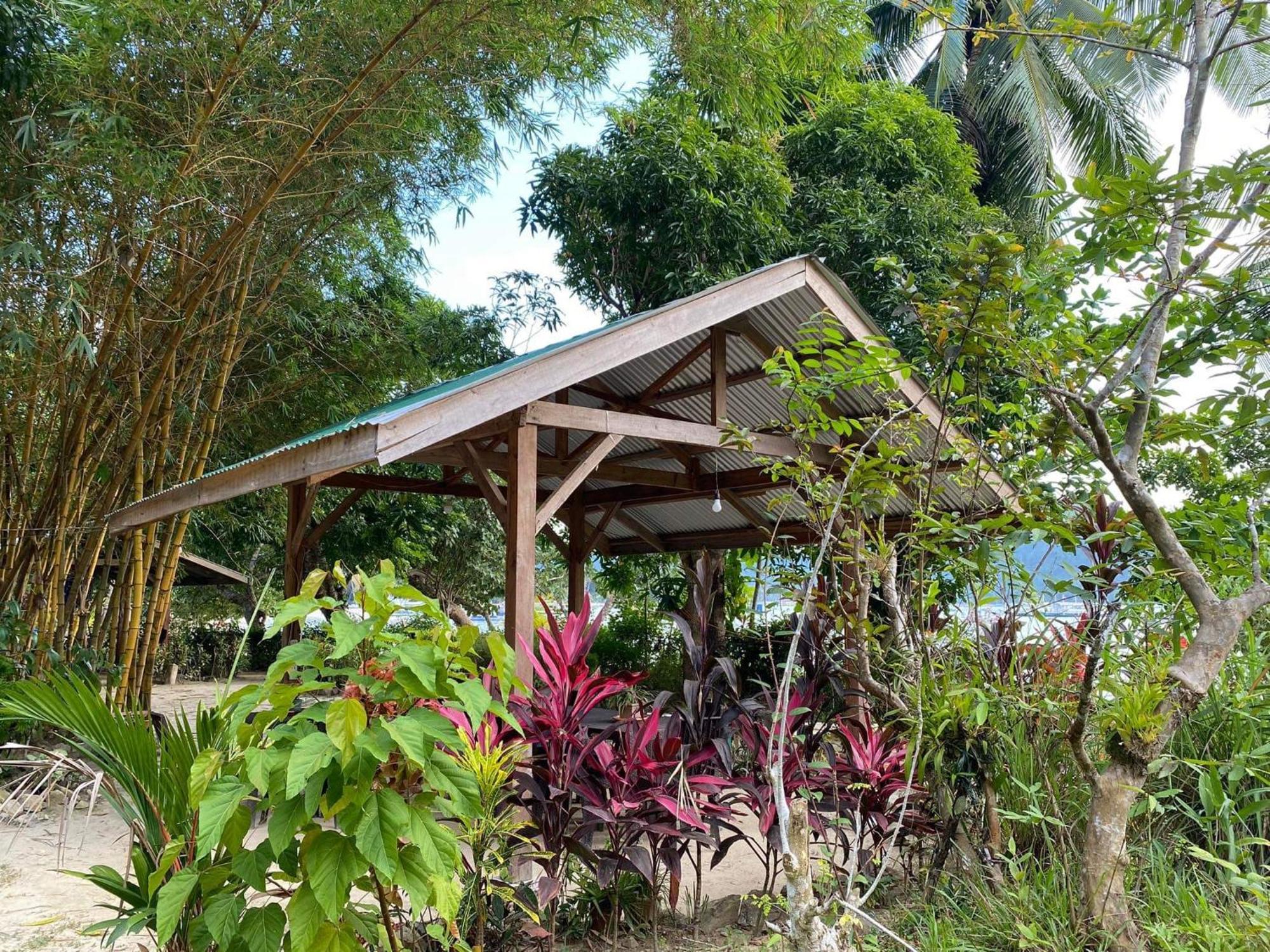 Port Barton - Paradiso Azul Campsite Beachfront With Internet San Vicente  Ngoại thất bức ảnh