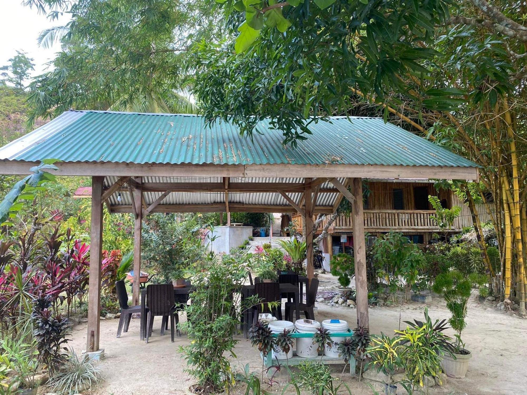 Port Barton - Paradiso Azul Campsite Beachfront With Internet San Vicente  Ngoại thất bức ảnh