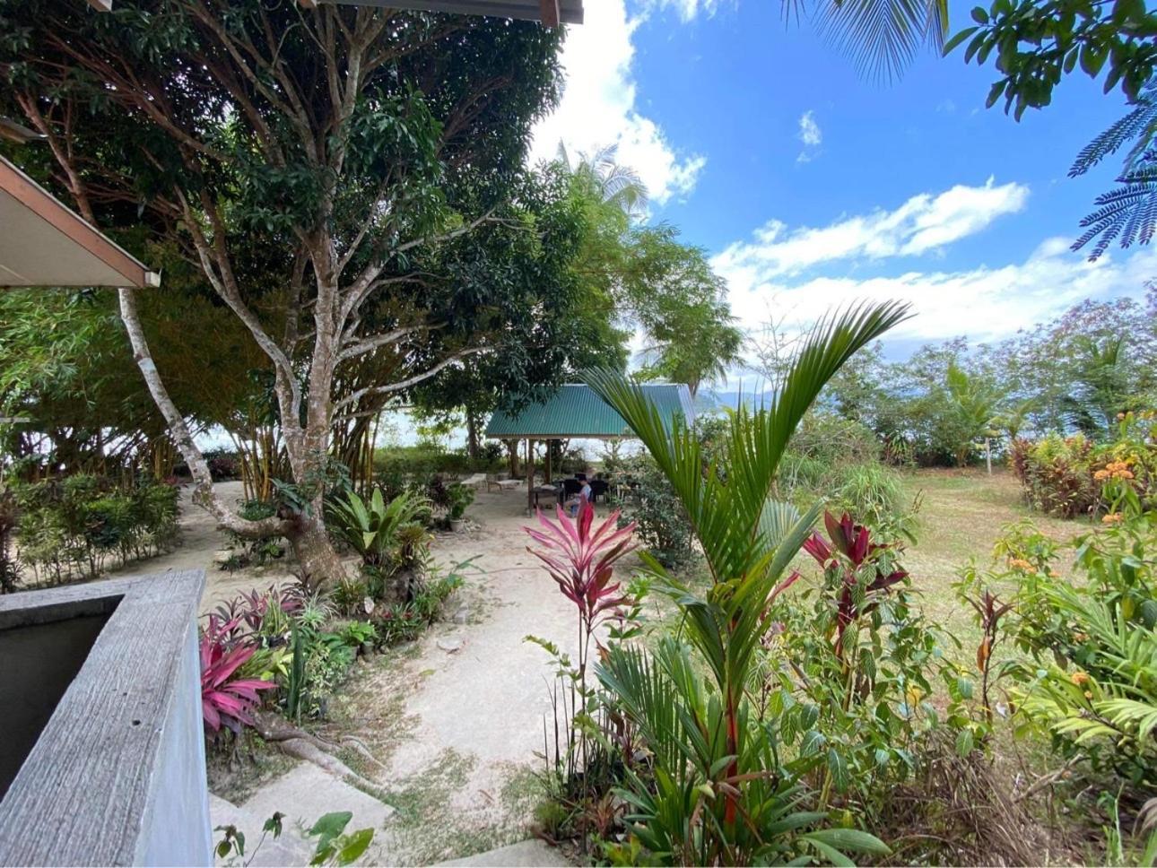 Port Barton - Paradiso Azul Campsite Beachfront With Internet San Vicente  Ngoại thất bức ảnh