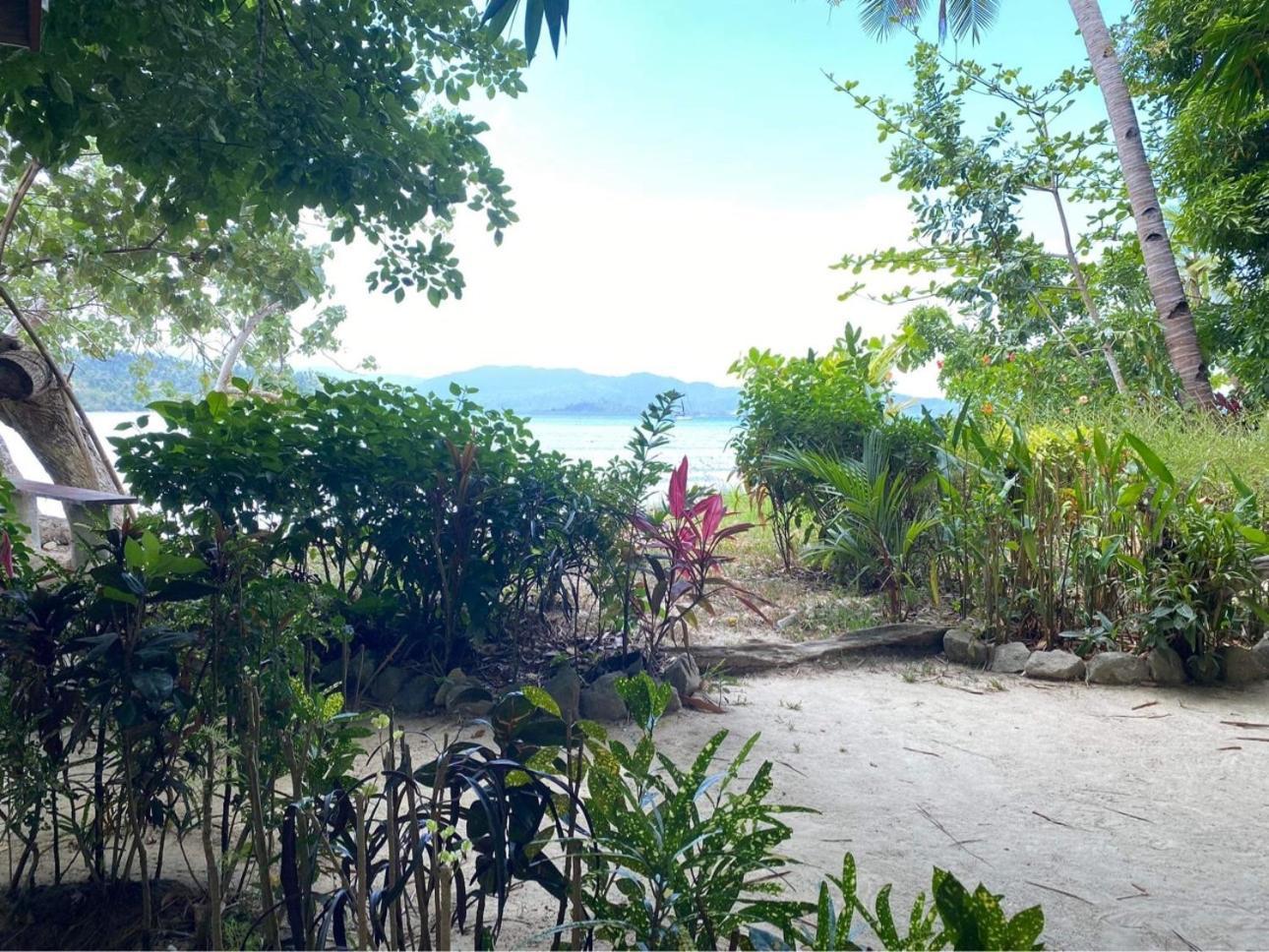 Port Barton - Paradiso Azul Campsite Beachfront With Internet San Vicente  Ngoại thất bức ảnh