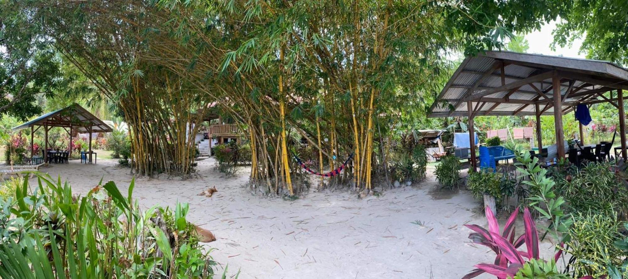 Port Barton - Paradiso Azul Campsite Beachfront With Internet San Vicente  Ngoại thất bức ảnh