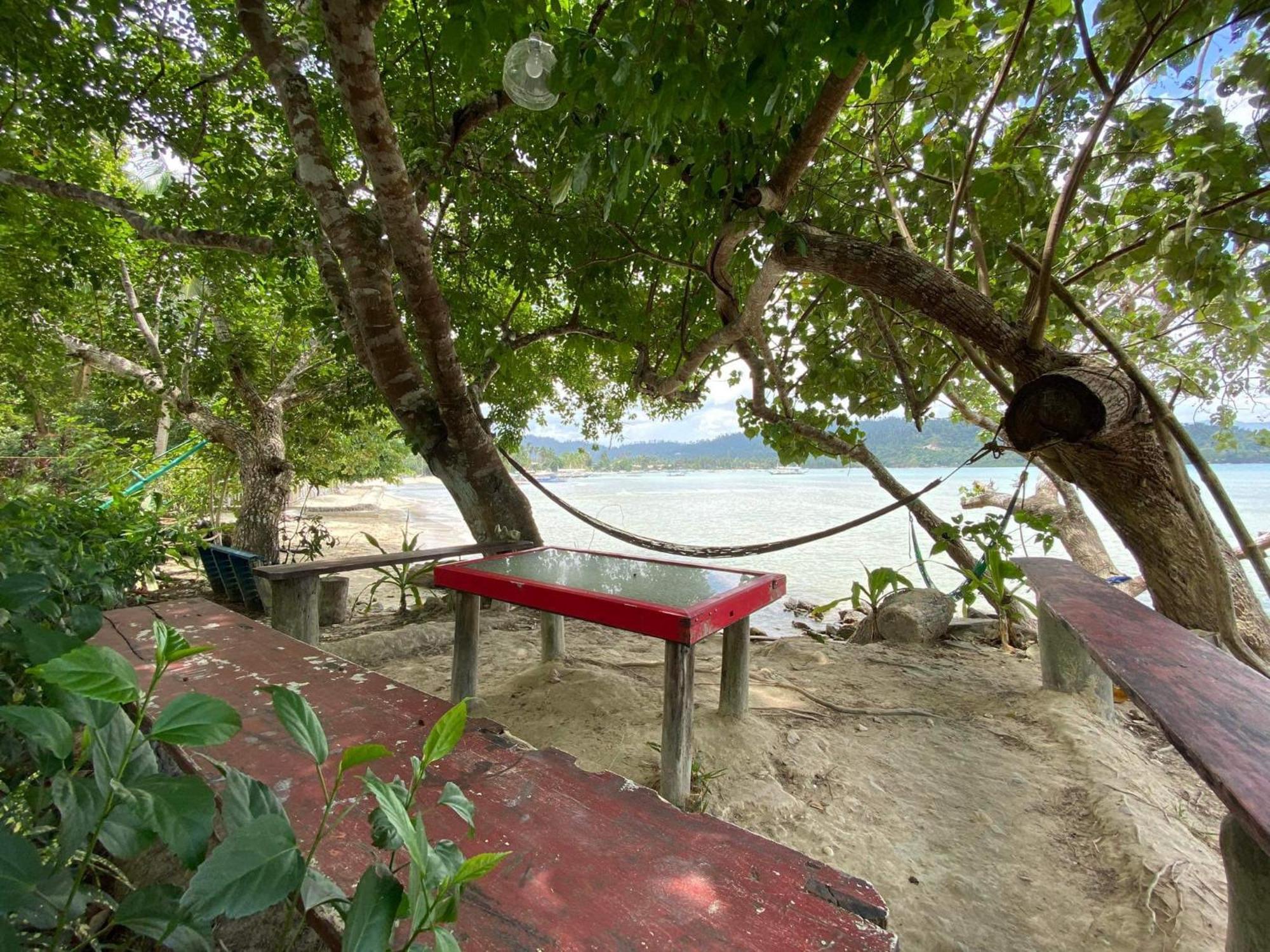 Port Barton - Paradiso Azul Campsite Beachfront With Internet San Vicente  Ngoại thất bức ảnh