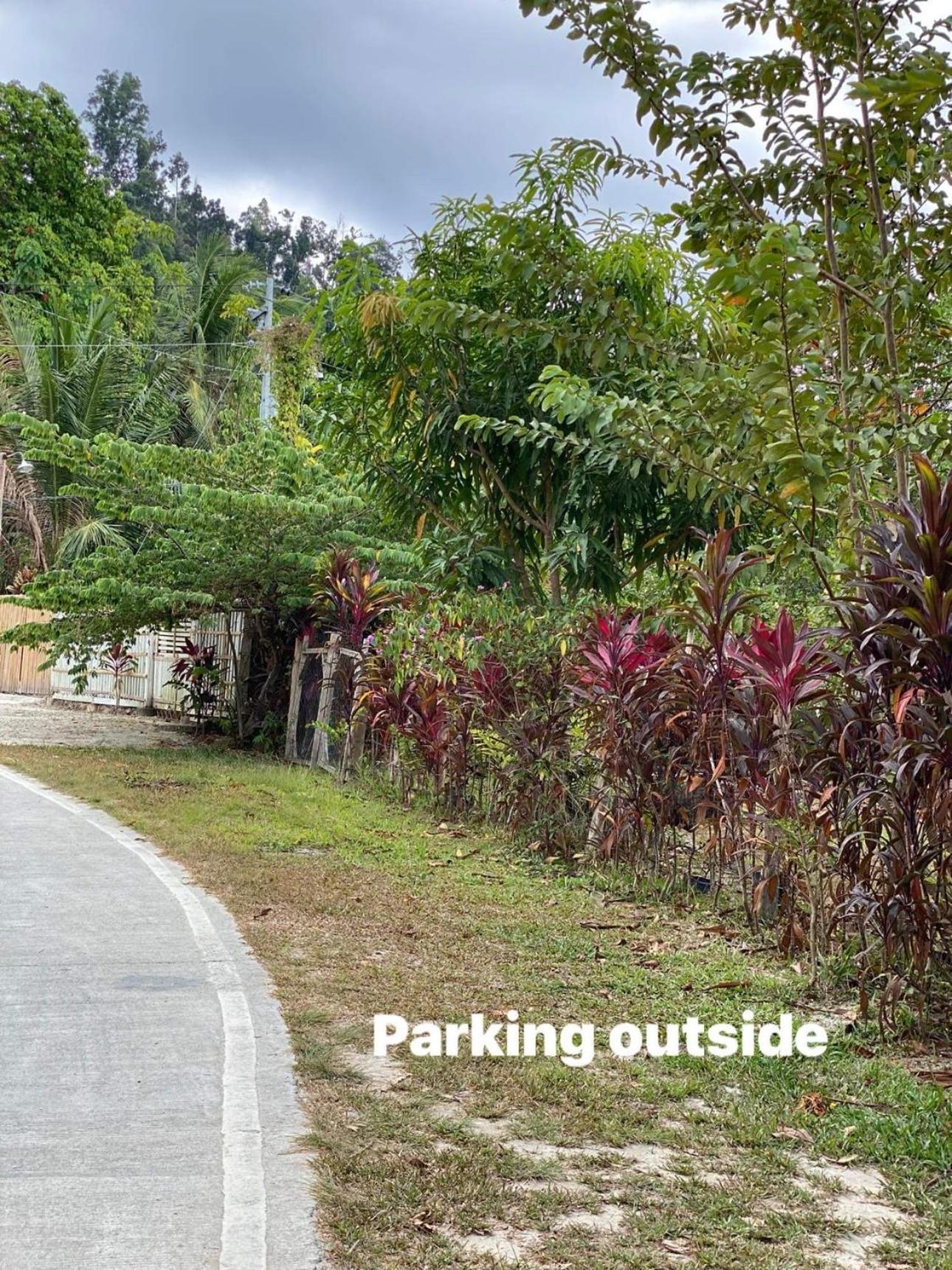 Port Barton - Paradiso Azul Campsite Beachfront With Internet San Vicente  Ngoại thất bức ảnh