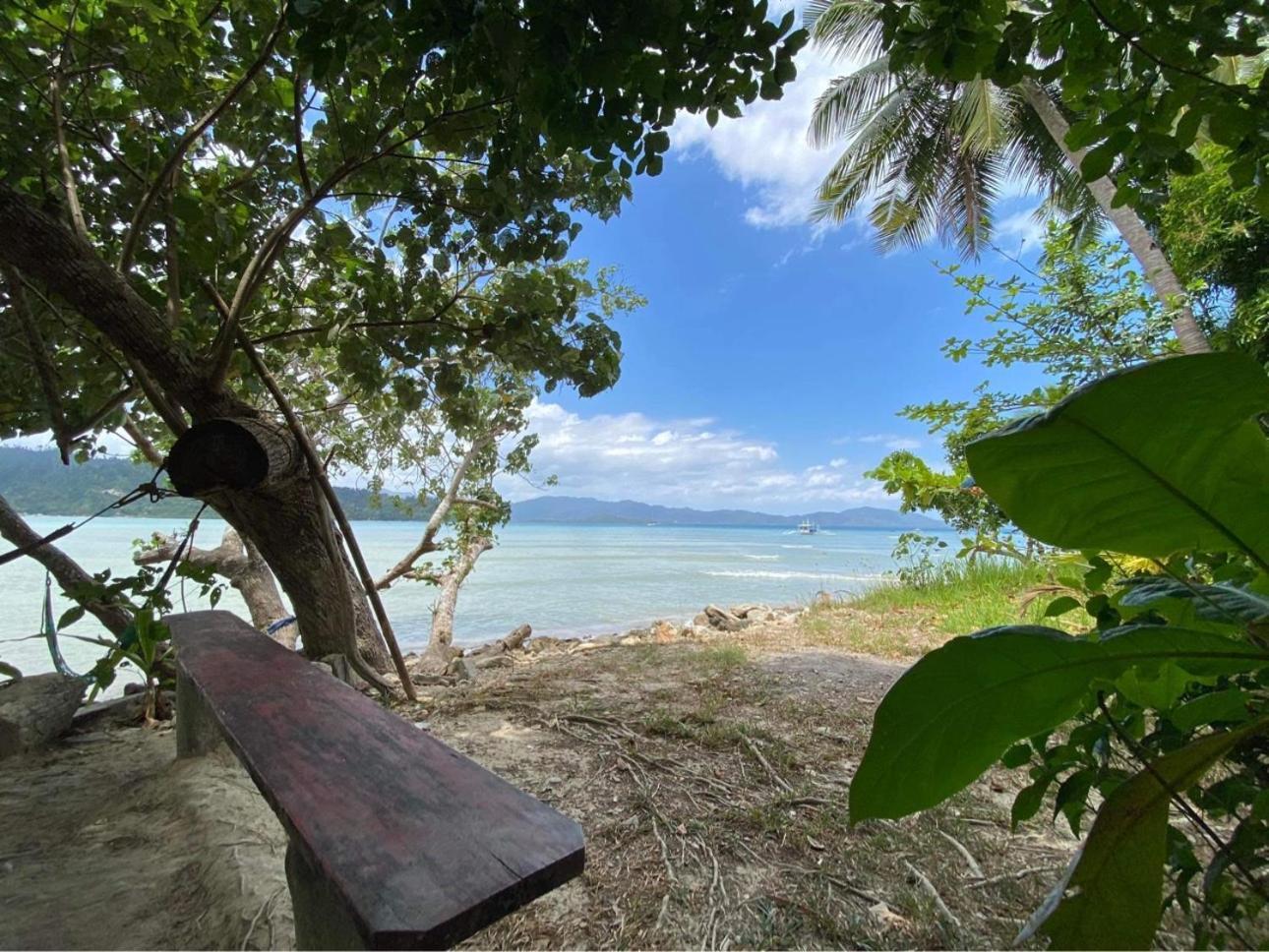 Port Barton - Paradiso Azul Campsite Beachfront With Internet San Vicente  Ngoại thất bức ảnh