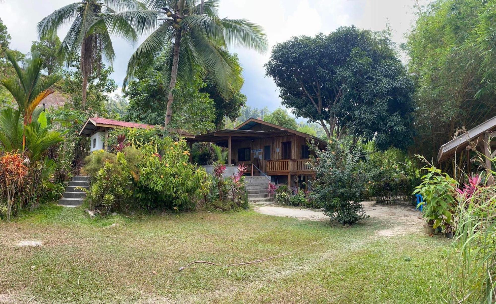 Port Barton - Paradiso Azul Campsite Beachfront With Internet San Vicente  Ngoại thất bức ảnh