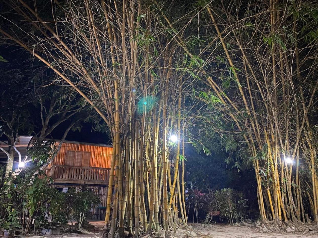 Port Barton - Paradiso Azul Campsite Beachfront With Internet San Vicente  Ngoại thất bức ảnh