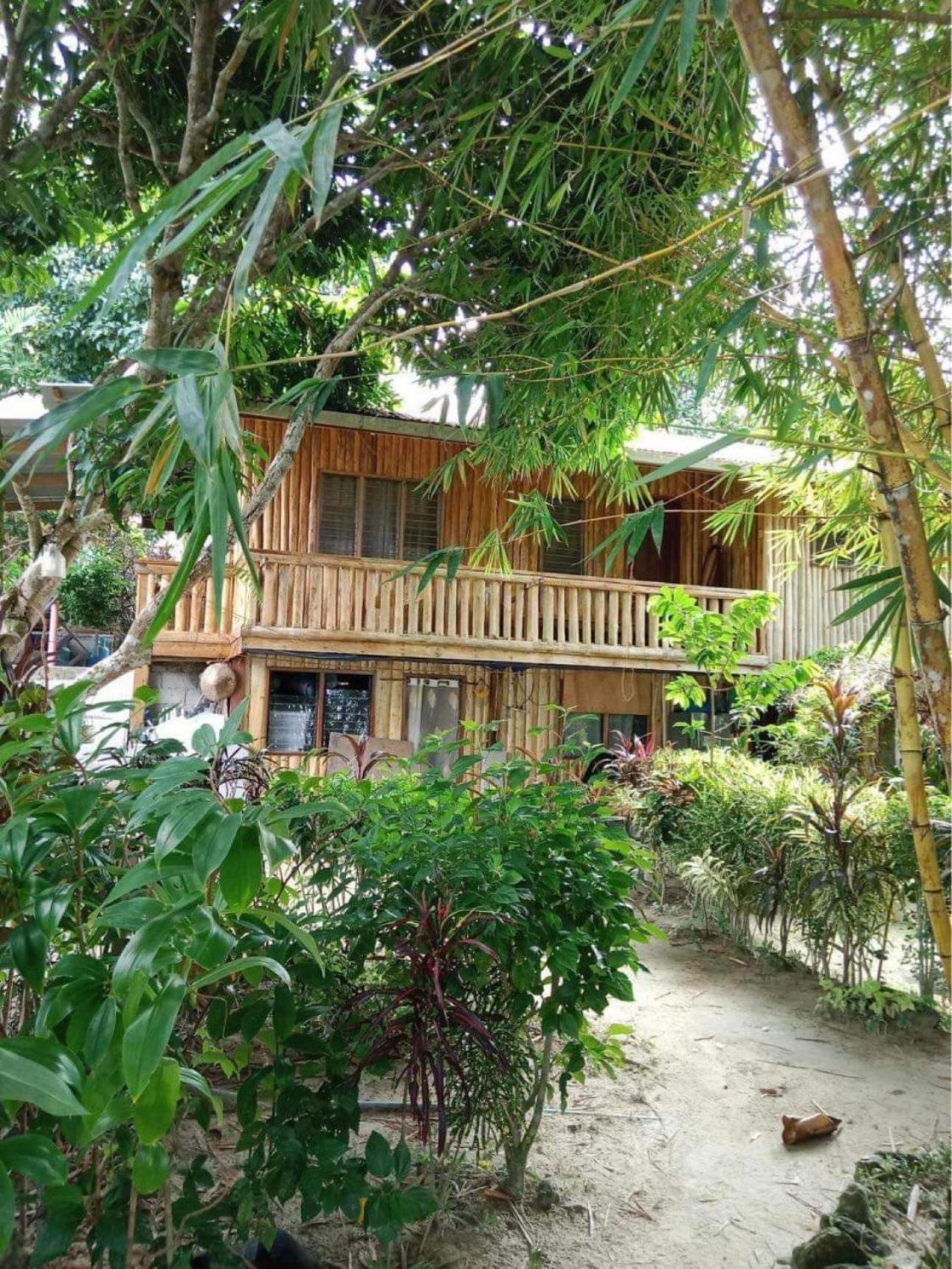 Port Barton - Paradiso Azul Campsite Beachfront With Internet San Vicente  Ngoại thất bức ảnh