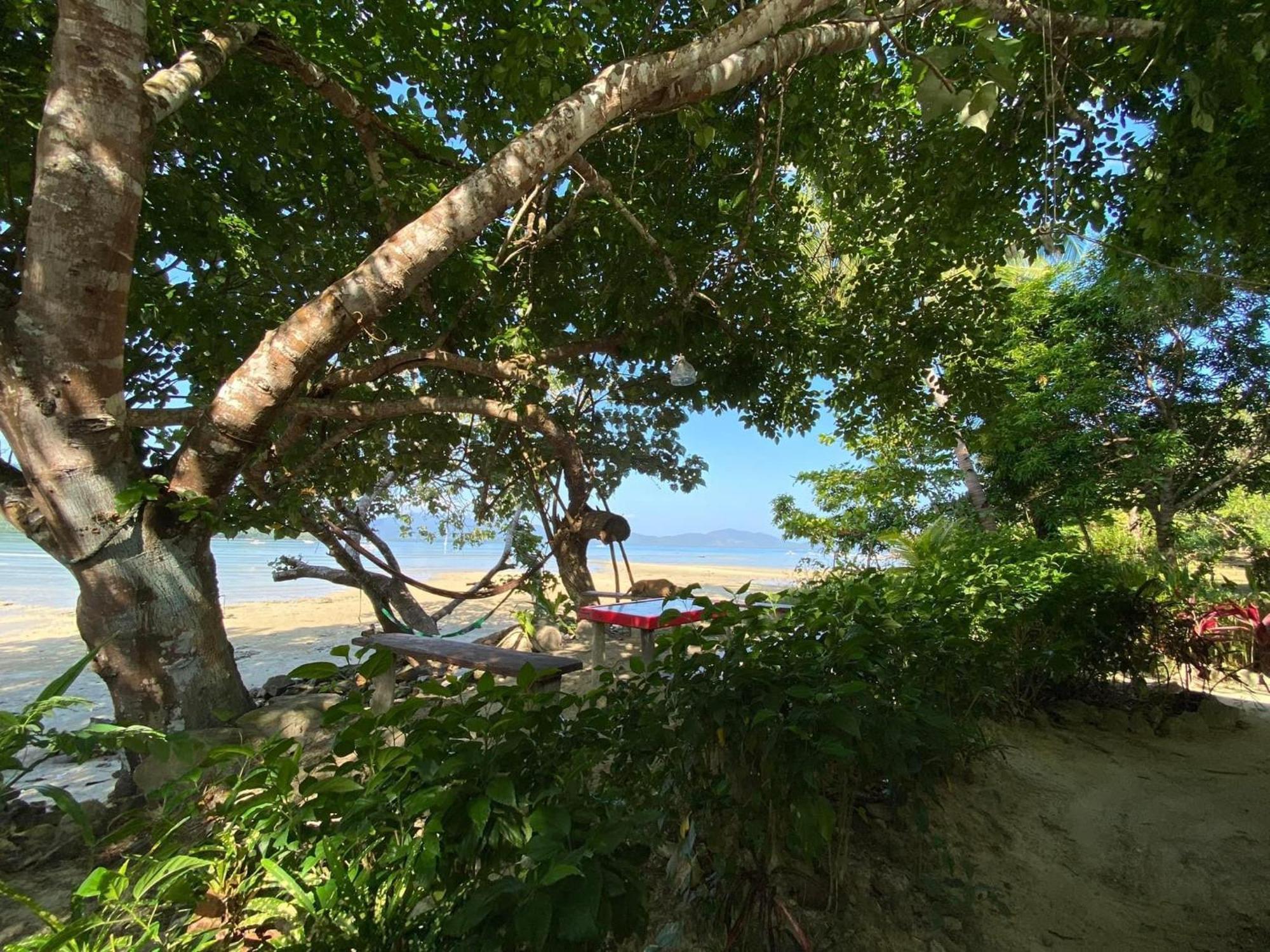 Port Barton - Paradiso Azul Campsite Beachfront With Internet San Vicente  Ngoại thất bức ảnh