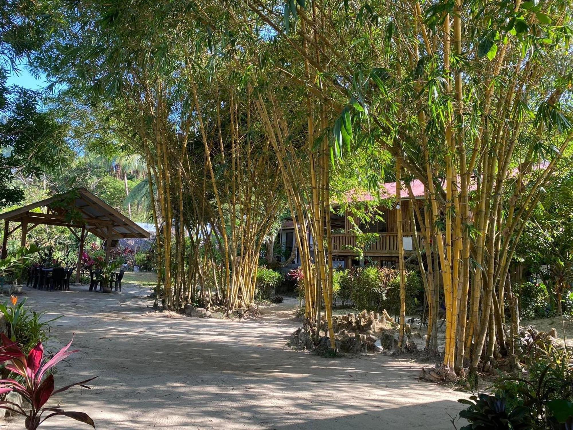 Port Barton - Paradiso Azul Campsite Beachfront With Internet San Vicente  Ngoại thất bức ảnh