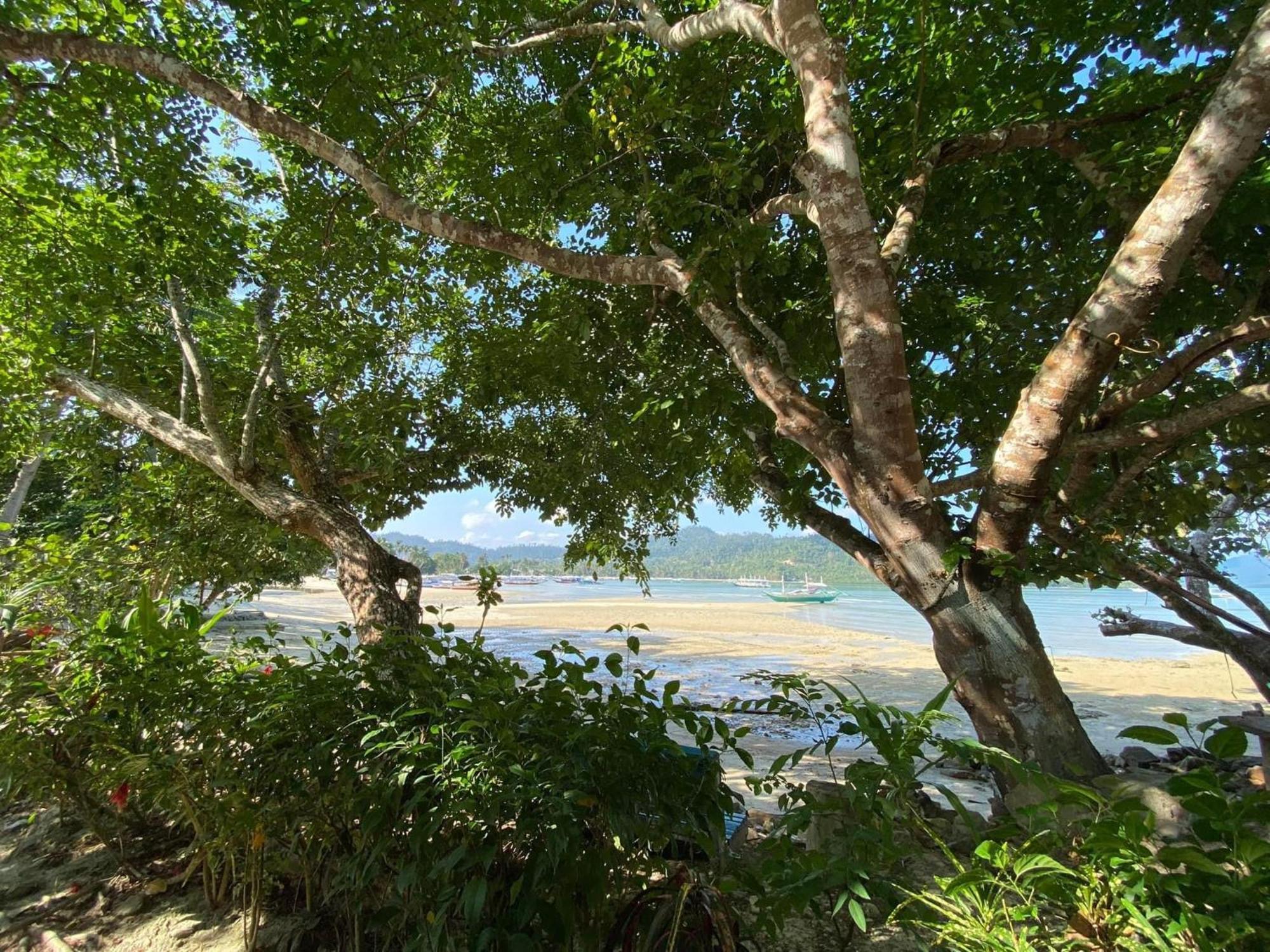 Port Barton - Paradiso Azul Campsite Beachfront With Internet San Vicente  Ngoại thất bức ảnh