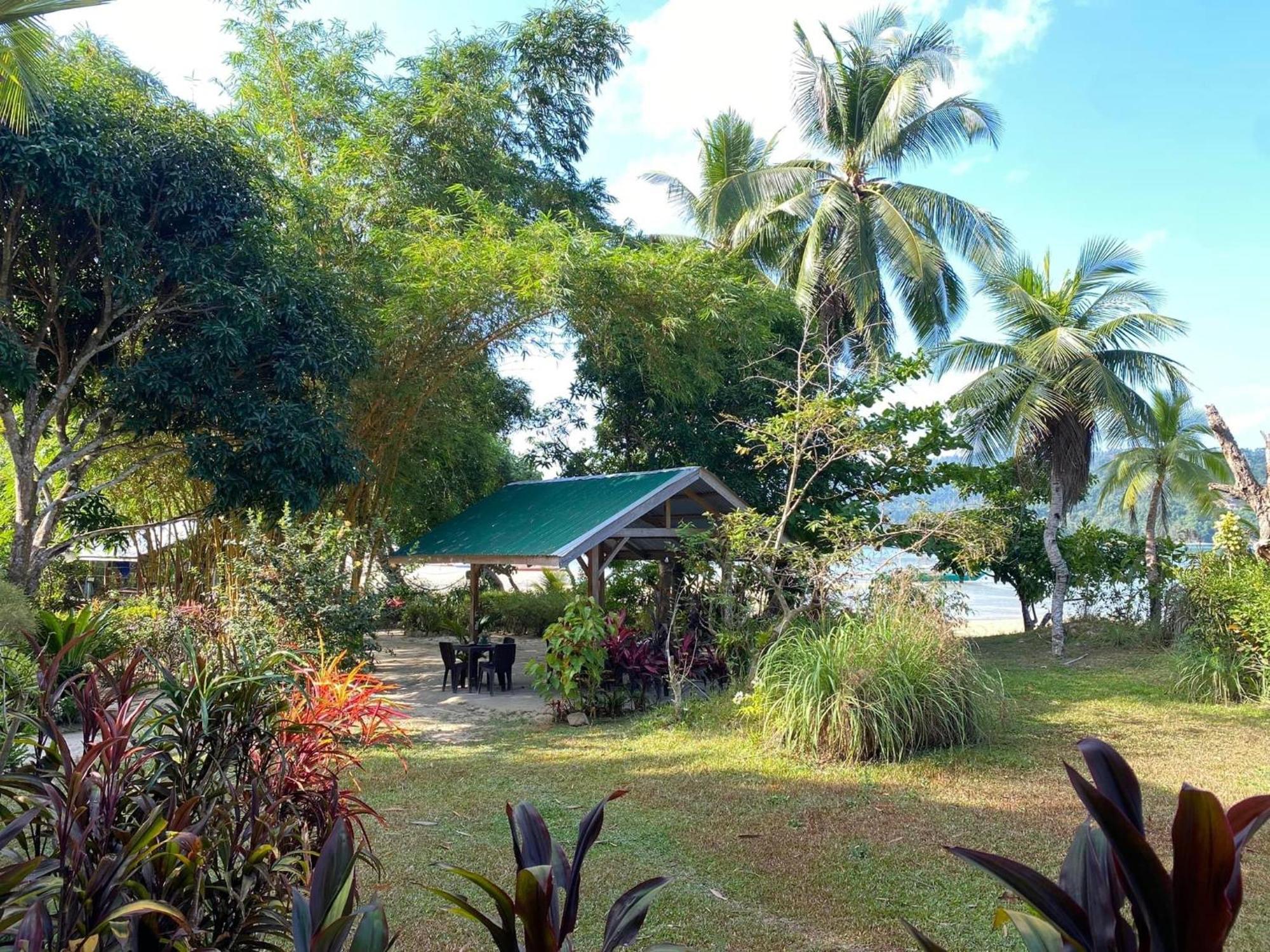 Port Barton - Paradiso Azul Campsite Beachfront With Internet San Vicente  Ngoại thất bức ảnh